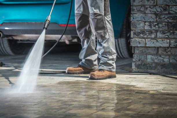 Best Roof Washing  in Hialeah Gardens, FL