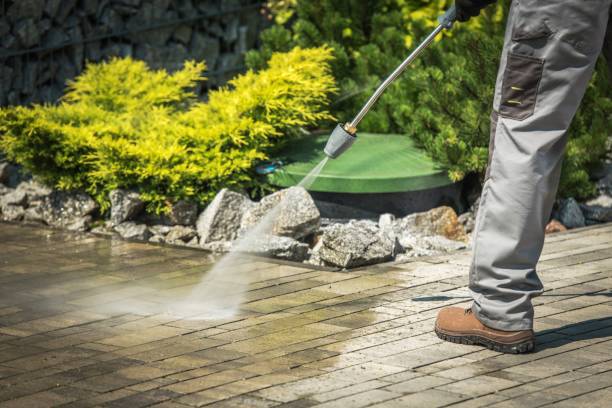 Best Fleet Vehicle Washing  in Hialeah Gardens, FL